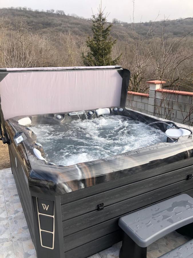 Vila Roza Balcsik Kültér fotó